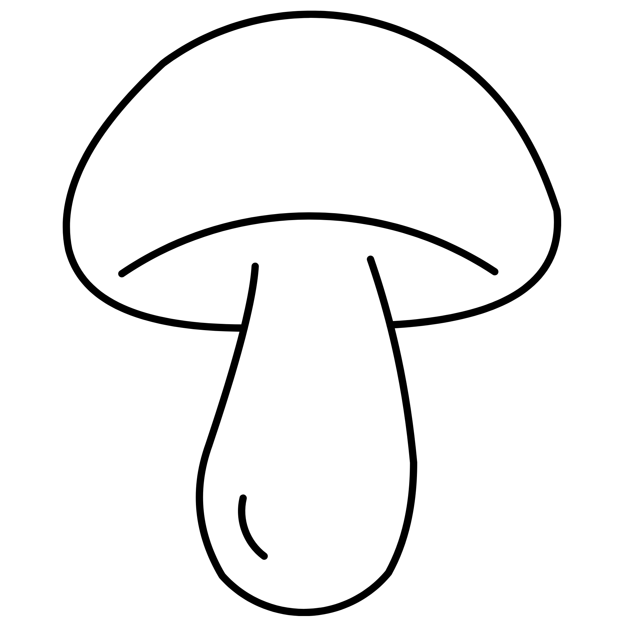 Produtos funcionais Acaasha