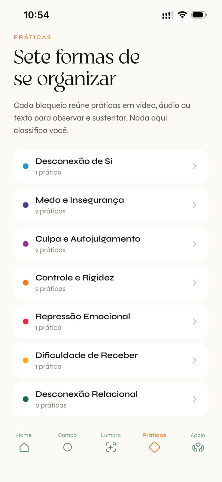 Práticas de organização interna no Acaasha App
